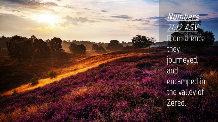 Picture 04 - Numbers 21:12 ASV Desktop Wallpaper - From thence they journeyed, and encamped in the - Desktop Bible Verse Wallpaper