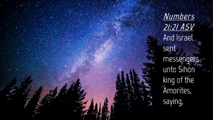 Picture 04 - Numbers 21:21 ASV Desktop Wallpaper - And Israel sent messengers unto Sihon king of the - Desktop Bible Verse Wallpaper