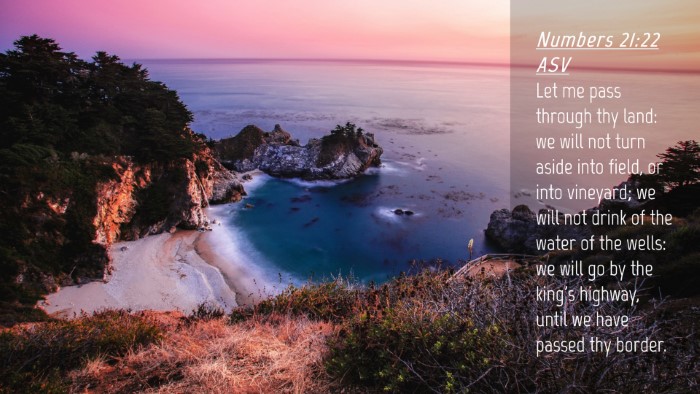 Picture 04 - Numbers 21:22 ASV Desktop Wallpaper - Let me pass through thy land: we will not turn - Desktop Bible Verse Wallpaper