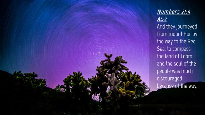 Picture 04 - Numbers 21:4 ASV Desktop Wallpaper - And they journeyed from mount Hor by the way to - Desktop Bible Verse Wallpaper