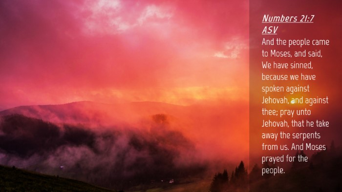 Picture 04 - Numbers 21:7 ASV Desktop Wallpaper - And the people came to Moses, and said, We have - Desktop Bible Verse Wallpaper