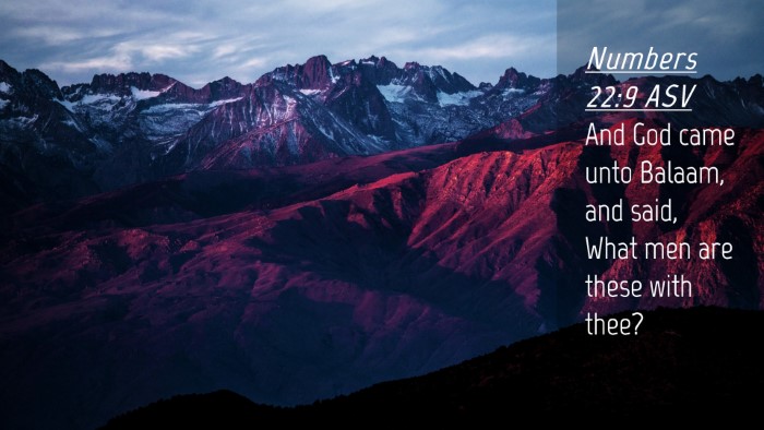 Picture 04 - Numbers 22:9 ASV Desktop Wallpaper - And God came unto Balaam, and said, What men are - Desktop Bible Verse Wallpaper
