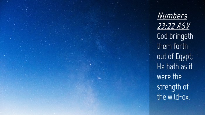 Picture 04 - Numbers 23:22 ASV Desktop Wallpaper - God bringeth them forth out of Egypt; He hath as - Desktop Bible Verse Wallpaper
