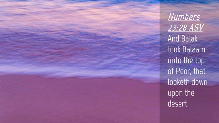 Picture 04 - Numbers 23:28 ASV Desktop Wallpaper - And Balak took Balaam unto the top of Peor, that - Desktop Bible Verse Wallpaper