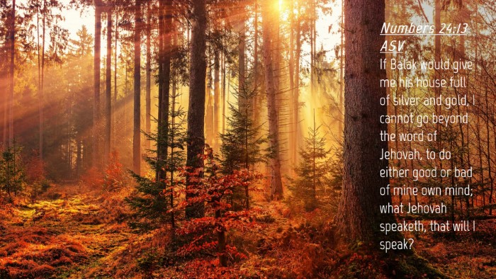 Picture 04 - Numbers 24:13 ASV Desktop Wallpaper - If Balak would give me his house full of silver - Desktop Bible Verse Wallpaper