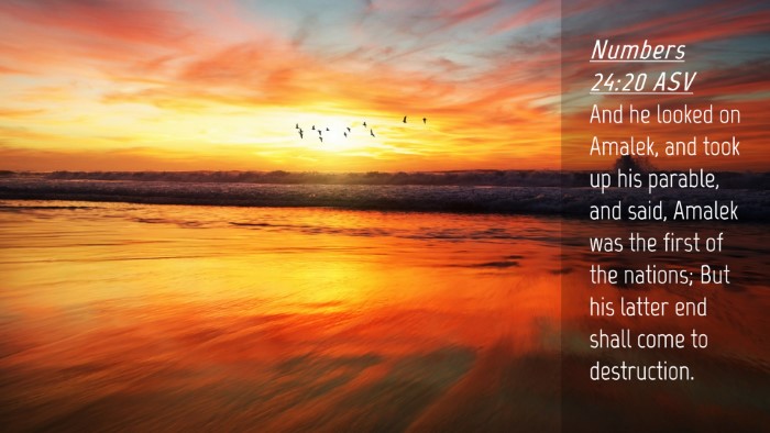 Picture 04 - Numbers 24:20 ASV Desktop Wallpaper - And he looked on Amalek, and took up his parable, - Desktop Bible Verse Wallpaper