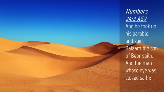 Picture 04 - Numbers 24:3 ASV Desktop Wallpaper - And he took up his parable, and said, Balaam the - Desktop Bible Verse Wallpaper