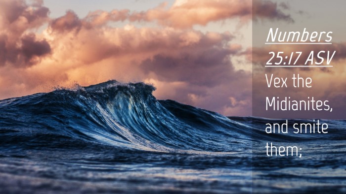 Picture 04 - Numbers 25:17 ASV Desktop Wallpaper - Vex the Midianites, and smite - Desktop Bible Verse Wallpaper