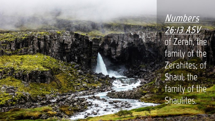 Picture 04 - Numbers 26:13 ASV Desktop Wallpaper - of Zerah, the family of the Zerahites; of Shaul, - Desktop Bible Verse Wallpaper