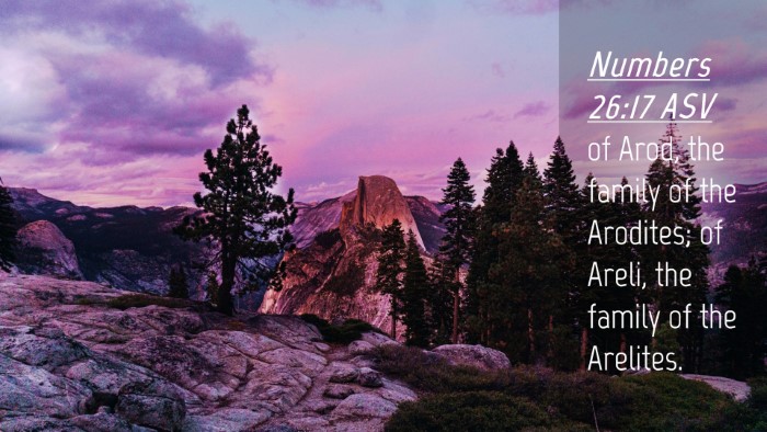 Picture 04 - Numbers 26:17 ASV Desktop Wallpaper - of Arod, the family of the Arodites; of Areli, - Desktop Bible Verse Wallpaper