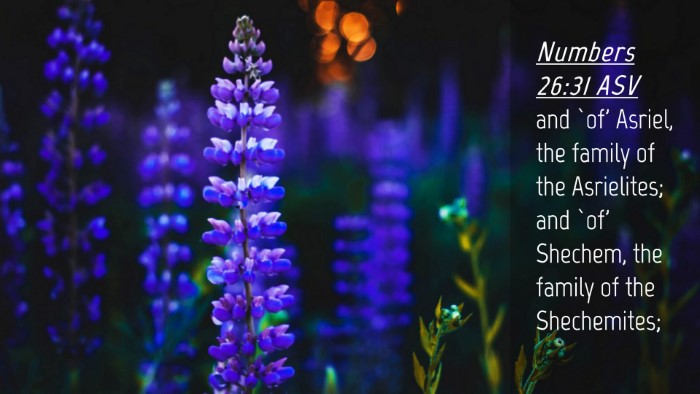 Picture 04 - Numbers 26:31 ASV Desktop Wallpaper - and `of' Asriel, the family of the Asrielites; - Desktop Bible Verse Wallpaper