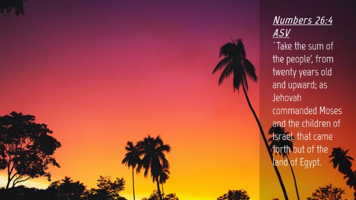 Picture 04 - Numbers 26:4 ASV Desktop Wallpaper - `Take the sum of the people', from twenty years - Desktop Bible Verse Wallpaper