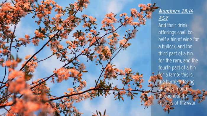 Picture 04 - Numbers 28:14 ASV Desktop Wallpaper - And their drink-offerings shall be half a hin of - Desktop Bible Verse Wallpaper