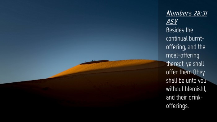 Picture 04 - Numbers 28:31 ASV Desktop Wallpaper - Besides the continual burnt-offering, and the - Desktop Bible Verse Wallpaper
