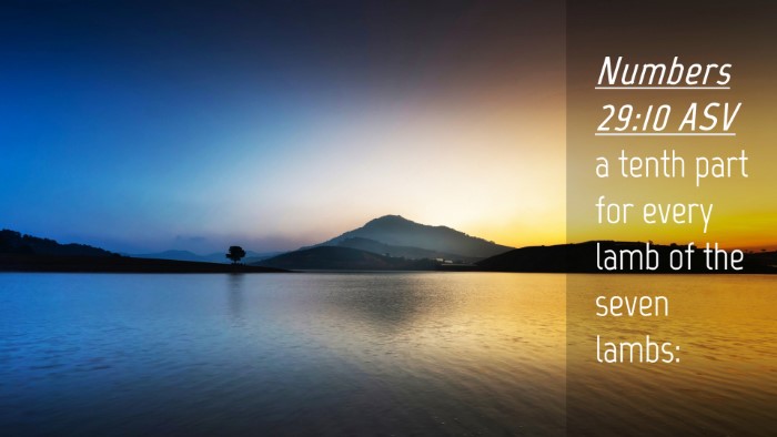 Picture 04 - Numbers 29:10 ASV Desktop Wallpaper - a tenth part for every lamb of the seven - Desktop Bible Verse Wallpaper