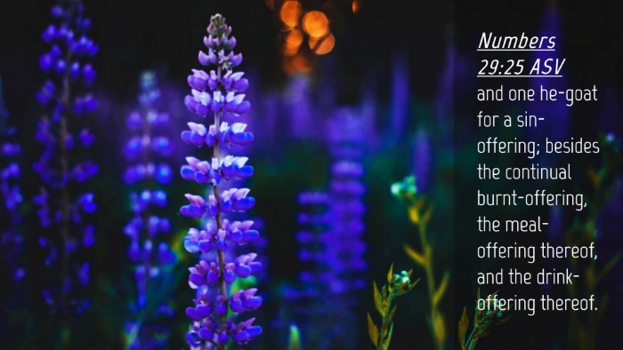 Picture 04 - Numbers 29:25 ASV Desktop Wallpaper - and one he-goat for a sin-offering; besides the - Desktop Bible Verse Wallpaper