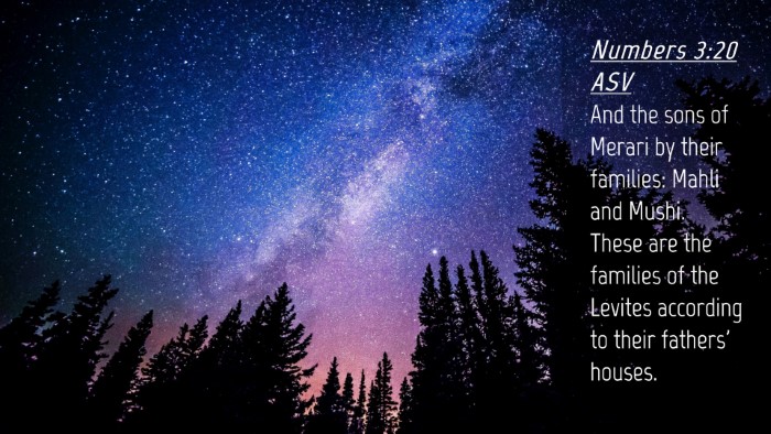 Picture 04 - Numbers 3:20 ASV Desktop Wallpaper - And the sons of Merari by their families: Mahli - Desktop Bible Verse Wallpaper