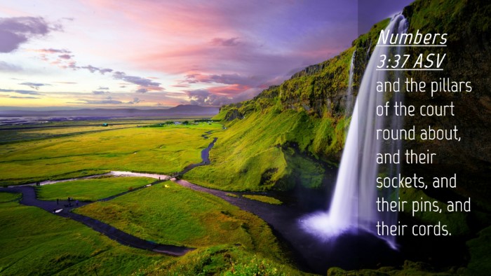 Picture 04 - Numbers 3:37 ASV Desktop Wallpaper - and the pillars of the court round about, and - Desktop Bible Verse Wallpaper
