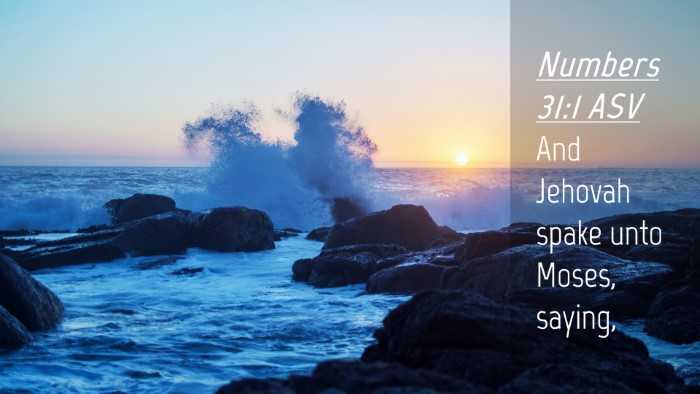 Picture 04 - Numbers 31:1 ASV Desktop Wallpaper - And Jehovah spake unto Moses, - Desktop Bible Verse Wallpaper
