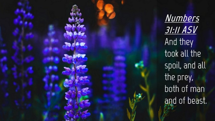 Picture 04 - Numbers 31:11 ASV Desktop Wallpaper - And they took all the spoil, and all the prey, - Desktop Bible Verse Wallpaper