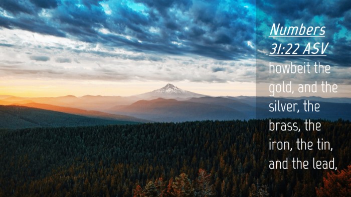 Picture 04 - Numbers 31:22 ASV Desktop Wallpaper - howbeit the gold, and the silver, the brass, the - Desktop Bible Verse Wallpaper
