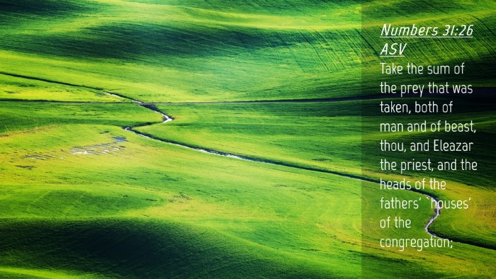 Picture 04 - Numbers 31:26 ASV Desktop Wallpaper - Take the sum of the prey that was taken, both of - Desktop Bible Verse Wallpaper