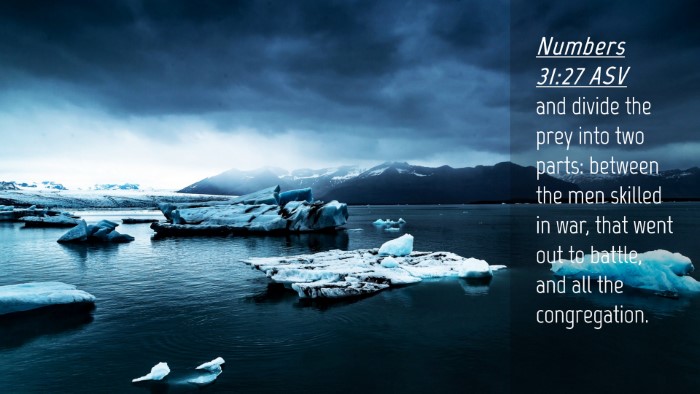 Picture 04 - Numbers 31:27 ASV Desktop Wallpaper - and divide the prey into two parts: between the - Desktop Bible Verse Wallpaper