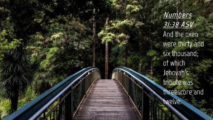 Picture 04 - Numbers 31:38 ASV Desktop Wallpaper - And the oxen were thirty and six thousand; of - Desktop Bible Verse Wallpaper
