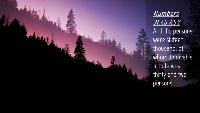 Picture 04 - Numbers 31:40 ASV Desktop Wallpaper - And the persons were sixteen thousand; of whom - Desktop Bible Verse Wallpaper