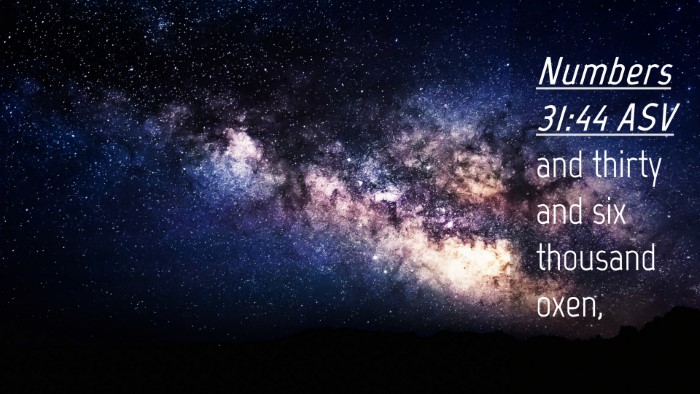 Picture 04 - Numbers 31:44 ASV Desktop Wallpaper - and thirty and six thousand - Desktop Bible Verse Wallpaper