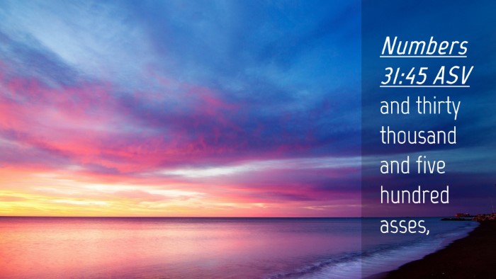 Picture 04 - Numbers 31:45 ASV Desktop Wallpaper - and thirty thousand and five hundred - Desktop Bible Verse Wallpaper