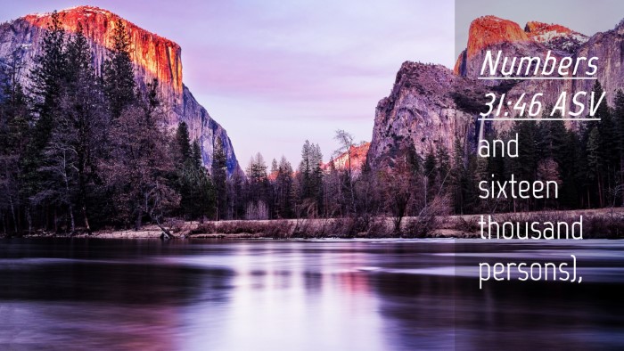 Picture 04 - Numbers 31:46 ASV Desktop Wallpaper - and sixteen thousand - Desktop Bible Verse Wallpaper