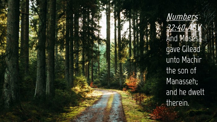 Picture 04 - Numbers 32:40 ASV Desktop Wallpaper - And Moses gave Gilead unto Machir the son of - Desktop Bible Verse Wallpaper
