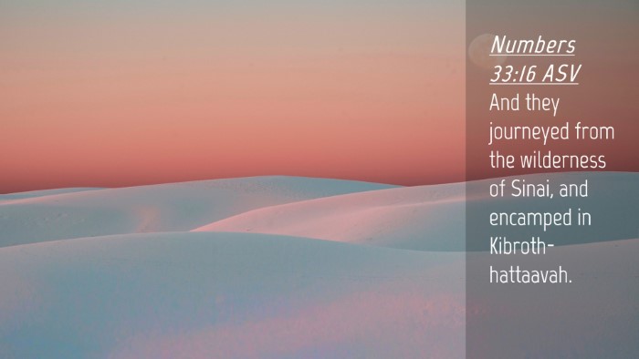 Picture 04 - Numbers 33:16 ASV Desktop Wallpaper - And they journeyed from the wilderness of Sinai, - Desktop Bible Verse Wallpaper