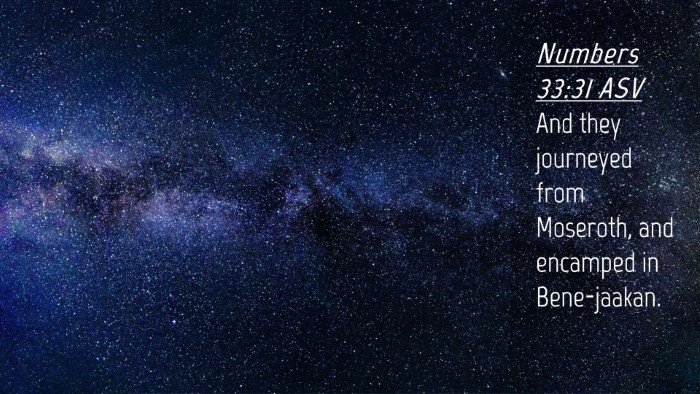 Picture 04 - Numbers 33:31 ASV Desktop Wallpaper - And they journeyed from Moseroth, and encamped in - Desktop Bible Verse Wallpaper