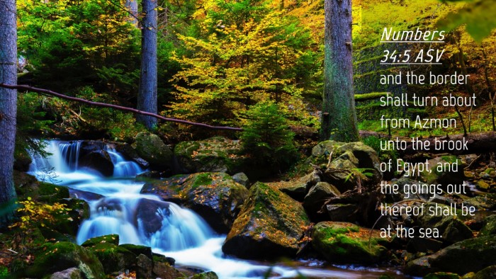 Picture 04 - Numbers 34:5 ASV Desktop Wallpaper - and the border shall turn about from Azmon unto - Desktop Bible Verse Wallpaper