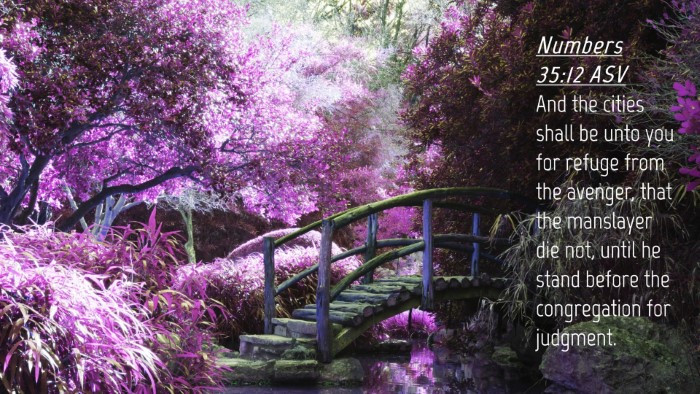 Picture 04 - Numbers 35:12 ASV Desktop Wallpaper - And the cities shall be unto you for refuge from - Desktop Bible Verse Wallpaper