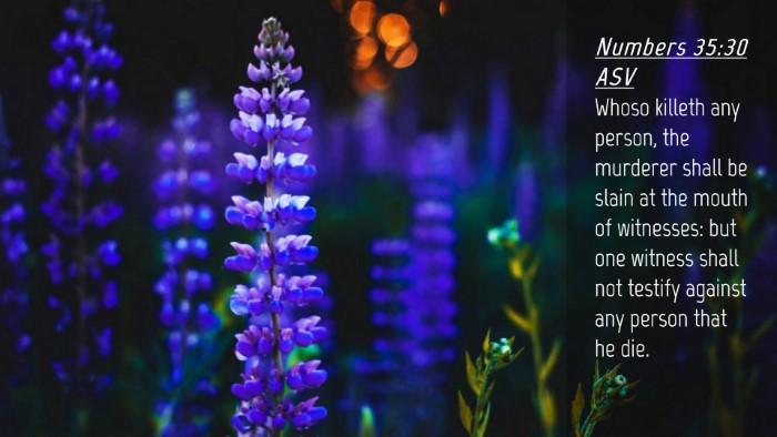 Picture 04 - Numbers 35:30 ASV Desktop Wallpaper - Whoso killeth any person, the murderer shall be - Desktop Bible Verse Wallpaper