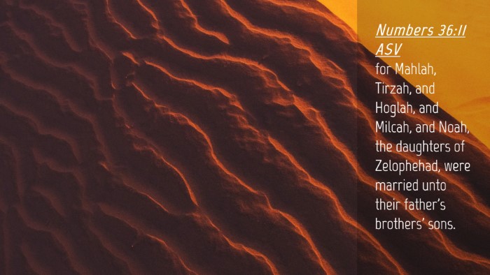 Picture 04 - Numbers 36:11 ASV Desktop Wallpaper - for Mahlah, Tirzah, and Hoglah, and Milcah, and - Desktop Bible Verse Wallpaper