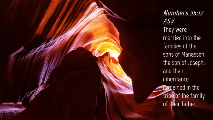Picture 04 - Numbers 36:12 ASV Desktop Wallpaper - They were married into the families of the sons - Desktop Bible Verse Wallpaper