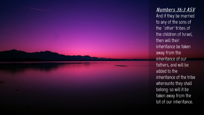 Picture 04 - Numbers 36:3 ASV Desktop Wallpaper - And if they be married to any of the sons of the - Desktop Bible Verse Wallpaper