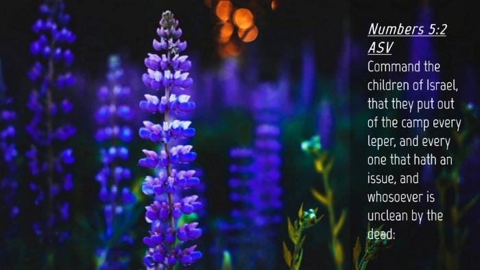 Picture 04 - Numbers 5:2 ASV Desktop Wallpaper - Command the children of Israel, that they put out - Desktop Bible Verse Wallpaper