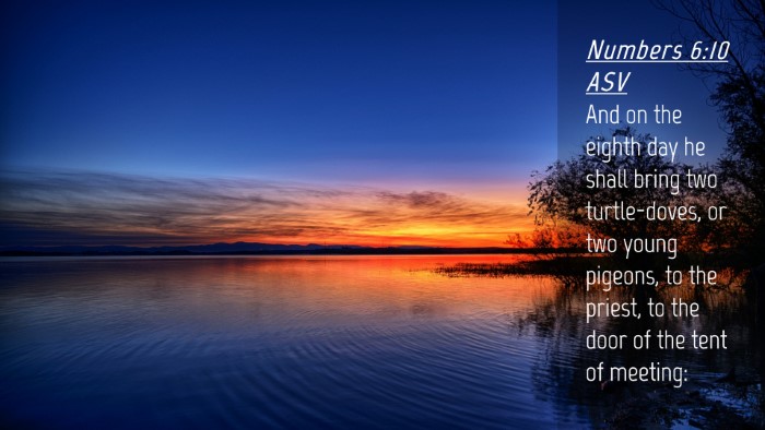 Picture 04 - Numbers 6:10 ASV Desktop Wallpaper - And on the eighth day he shall bring two - Desktop Bible Verse Wallpaper