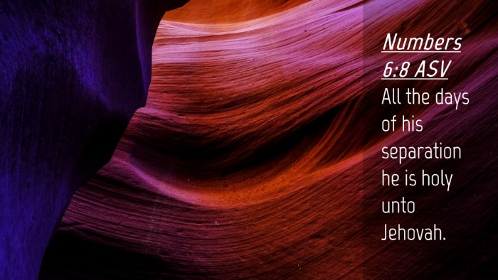 Picture 04 - Numbers 6:8 ASV Desktop Wallpaper - All the days of his separation he is holy unto - Desktop Bible Verse Wallpaper