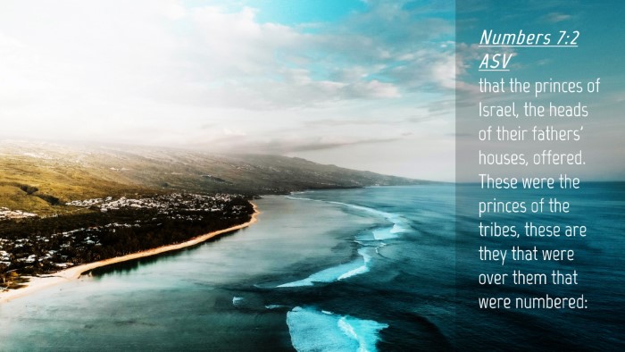 Picture 04 - Numbers 7:2 ASV Desktop Wallpaper - that the princes of Israel, the heads of their - Desktop Bible Verse Wallpaper
