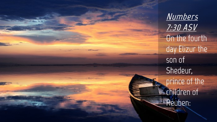 Picture 04 - Numbers 7:30 ASV Desktop Wallpaper - On the fourth day Elizur the son of Shedeur, - Desktop Bible Verse Wallpaper