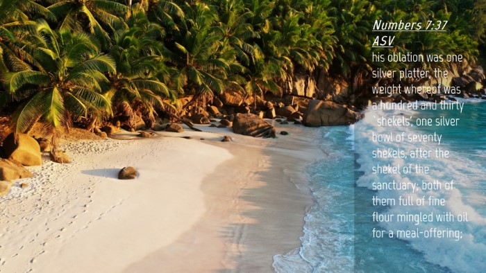 Picture 04 - Numbers 7:37 ASV Desktop Wallpaper - his oblation was one silver platter, the weight - Desktop Bible Verse Wallpaper