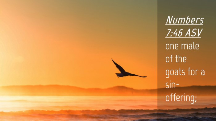 Picture 04 - Numbers 7:46 ASV Desktop Wallpaper - one male of the goats for a - Desktop Bible Verse Wallpaper
