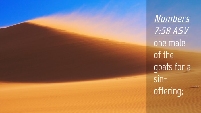Picture 04 - Numbers 7:58 ASV Desktop Wallpaper - one male of the goats for a - Desktop Bible Verse Wallpaper