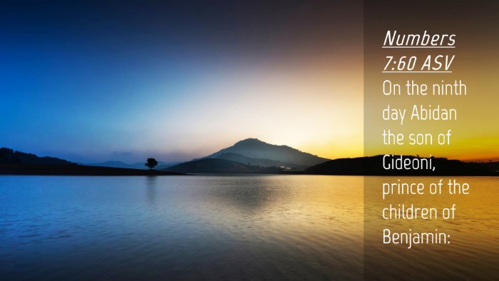 Picture 04 - Numbers 7:60 ASV Desktop Wallpaper - On the ninth day Abidan the son of Gideoni, - Desktop Bible Verse Wallpaper
